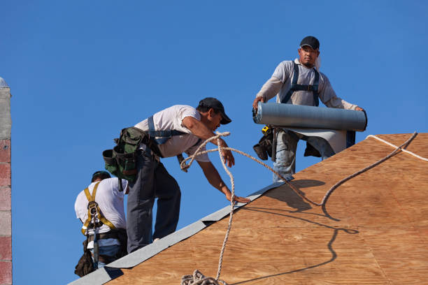 Best Gutter Installation and Roofing  in Archbald, PA