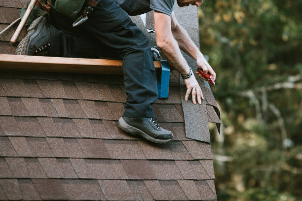 Best Shingle Roofing Installation  in Archbald, PA